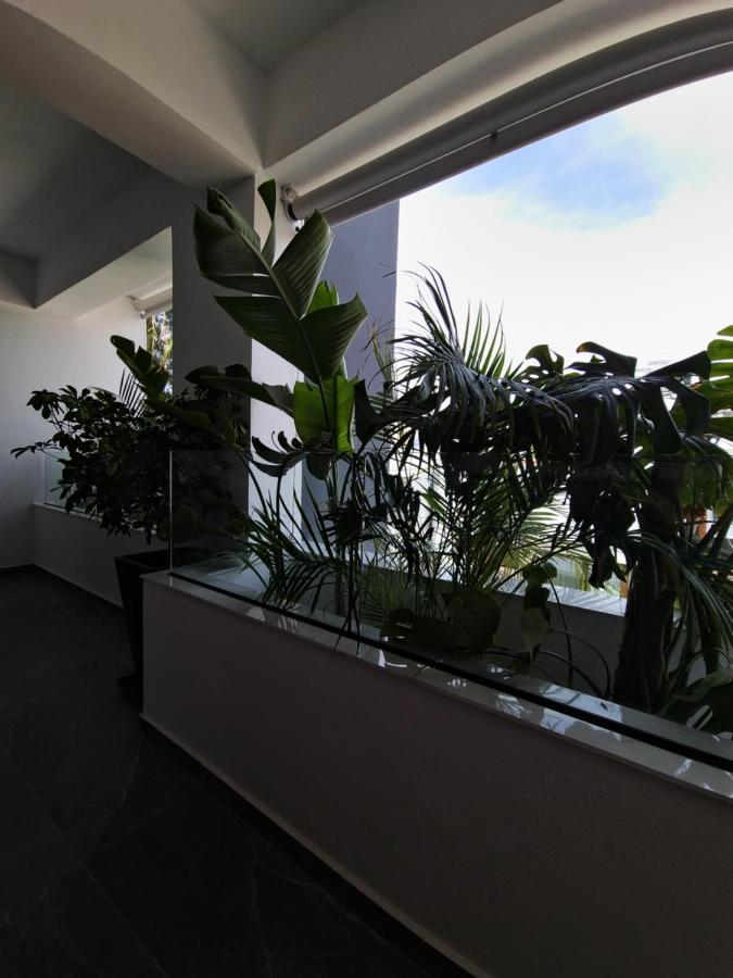Carisa Deluxe Apartment With Jacuzzi 拉纳卡 外观 照片
