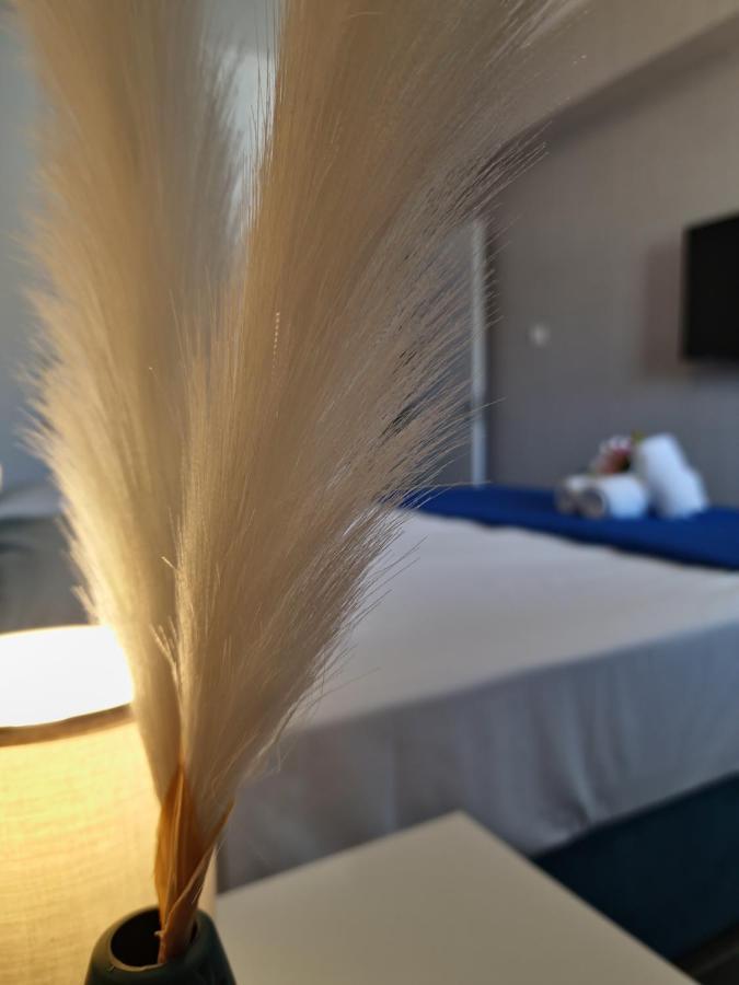Carisa Deluxe Apartment With Jacuzzi 拉纳卡 外观 照片